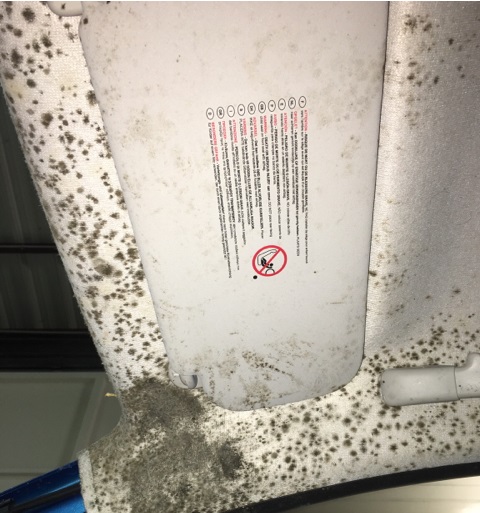 30ml Agent de nettoyage anti-moisissure de voiture Spray d'entretien  intérieur automatique