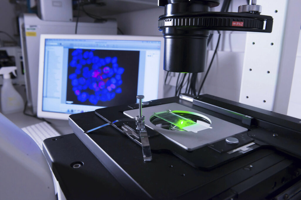 Vue rapprochée d'un microscope et d'une illustration de microbes, mettant en évidence le rôle du gel de silice dans la prévention de la contamination microbienne des médicaments.