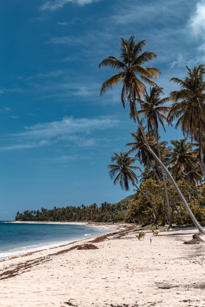 la Guadeloupe, une région tropicale où Aqua-Control a fourni du gel de silice pour protéger le matériel électronique contre l'humidité ambiante élevée.