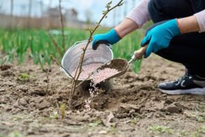 Sachets de gel de silice pour le stockage sécurisé des engrais agricoles : une solution efficace contre l’humidité et le compactage des granulés.