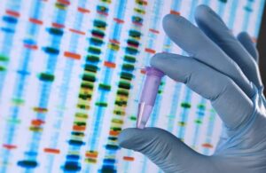 Petites billes de gel de silice ou silica gel pour étude de l'adn de végétaux et tissus organiques. Un conditionnement idéal pour préserver l’ADN végétal sans congélation, tout en évitant les poussières grâce à la forme sphérique du desséchant.