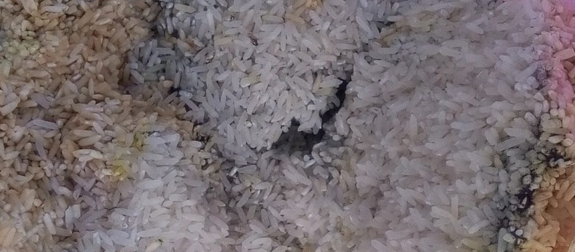 riz moisi