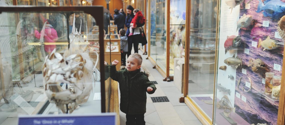 vitrine musée prosorb